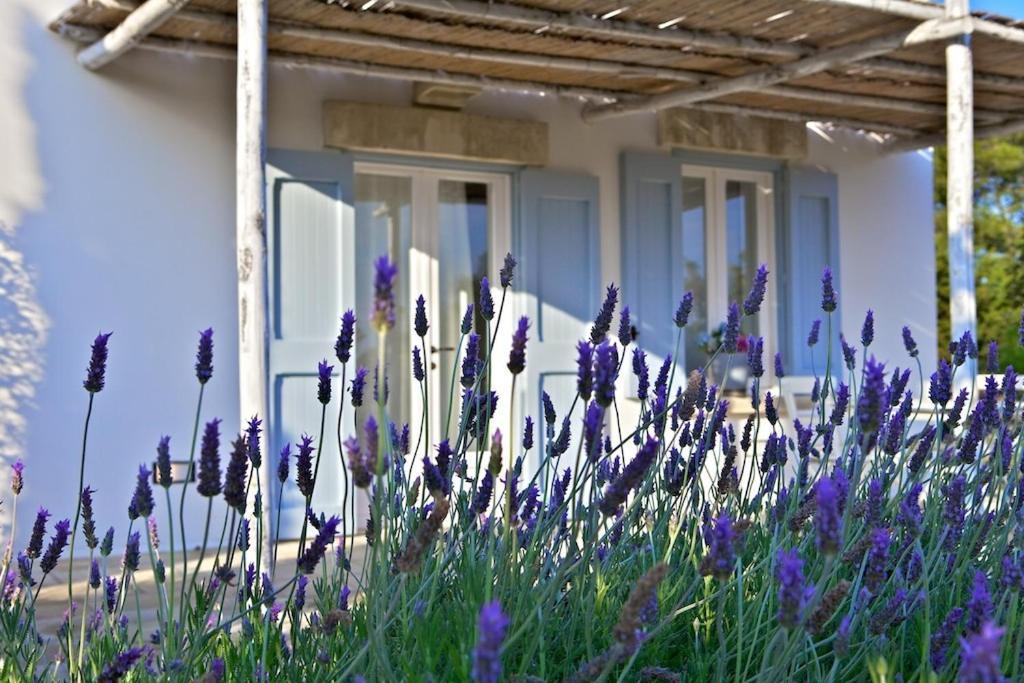 Masseria Montelauro Otranto Eksteriør bilde