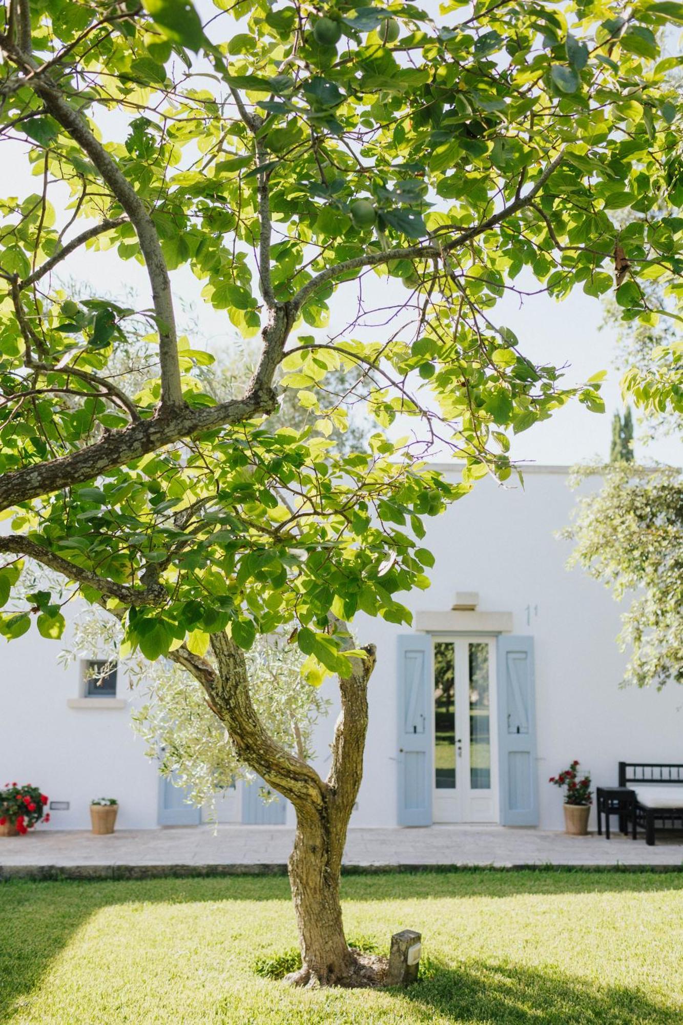 Masseria Montelauro Otranto Eksteriør bilde