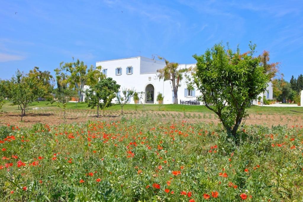 Masseria Montelauro Otranto Eksteriør bilde