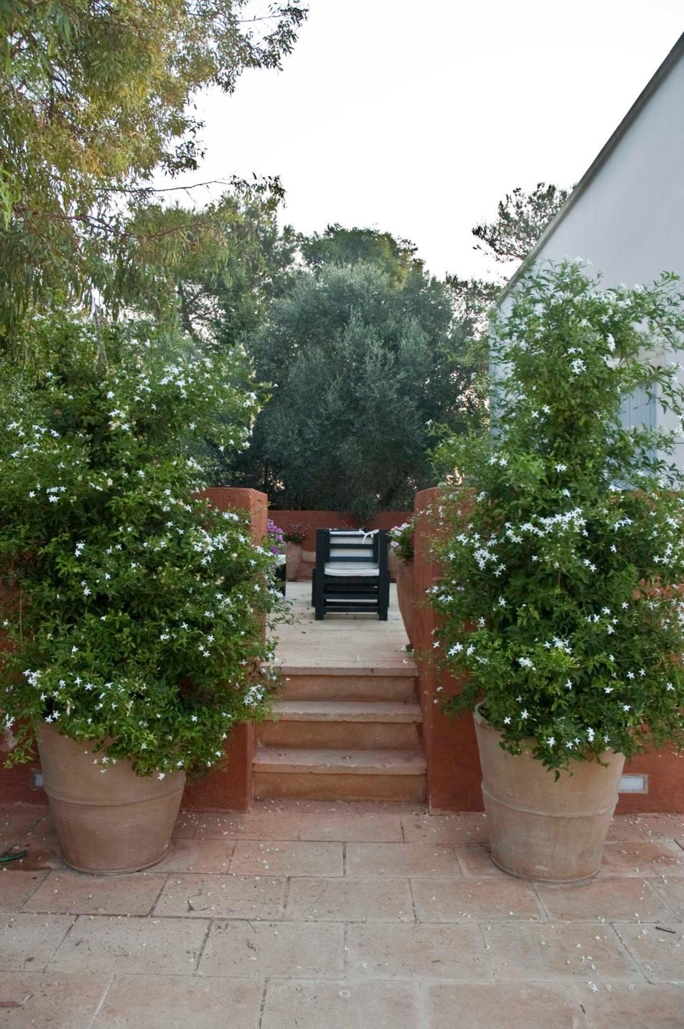 Masseria Montelauro Otranto Eksteriør bilde